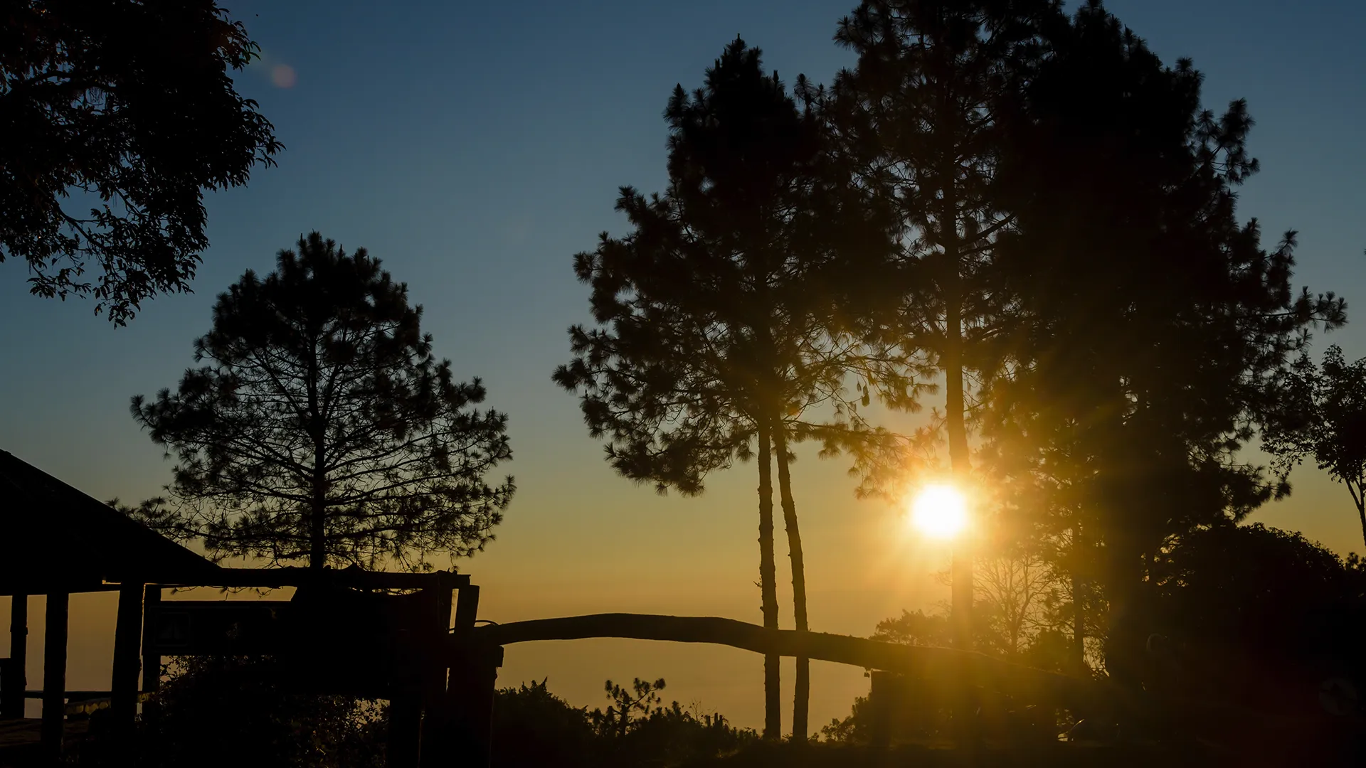 BOSTY メインビジュアル